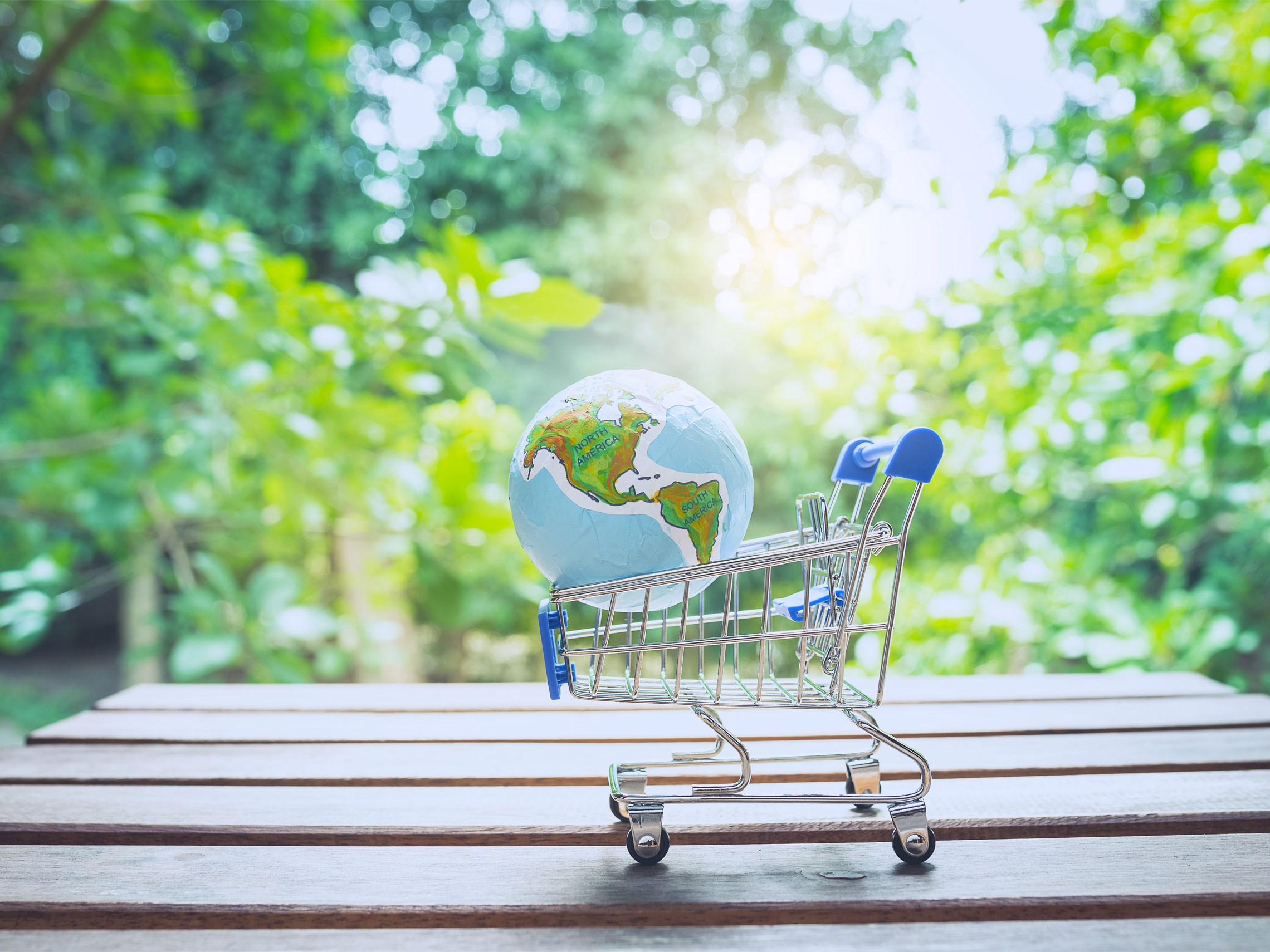 Un chariot de courses avec un globe sur le dessus, dans un environnement naturel et verdoyant, symbolise la durabilité et la responsabilité mondiale.
