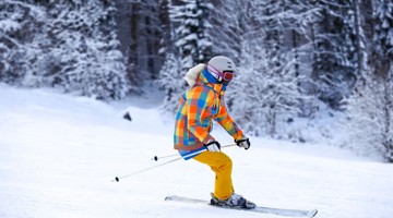 Un skieur en tenue colorée glisse sur une pente enneigée, entouré d'arbres couverts de neige.