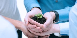 Verschillende handen houden een pot aarde met een klein plantje, wat samenwerking en zorg voor de natuur symboliseert.