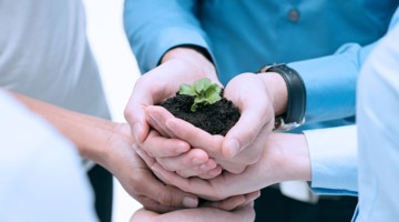 Verschillende handen houden een pot aarde met een klein plantje, wat samenwerking en zorg voor de natuur symboliseert.