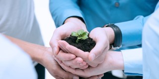 Cinq mains soutiennent une petite plante dans la terre, symbolisant la collaboration et la croissance.