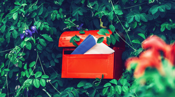 Heldere rode brievenbus omgeven door groene bladeren en paarse bloemen, met een blauwe en een witte brief zichtbaar.
